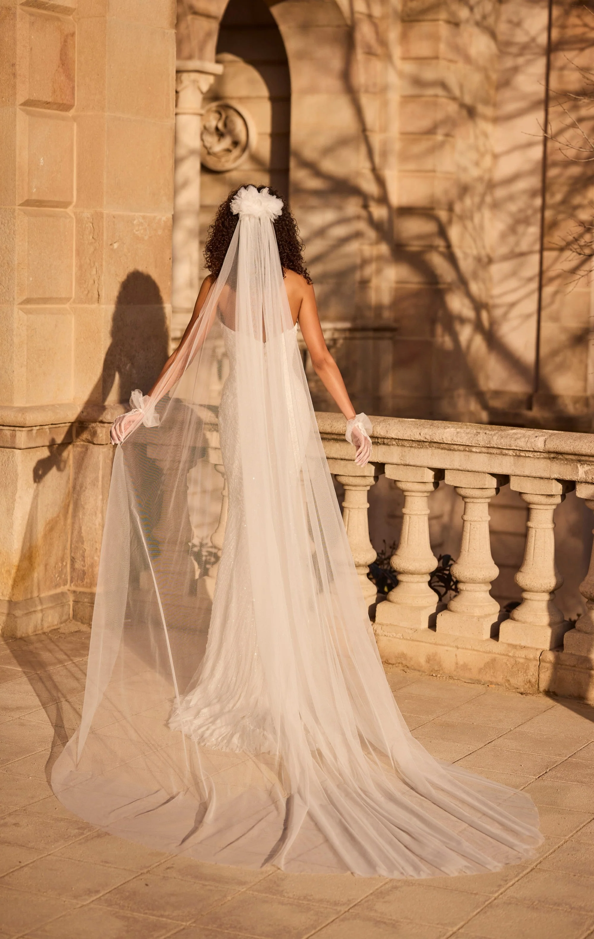 Veil - 10224