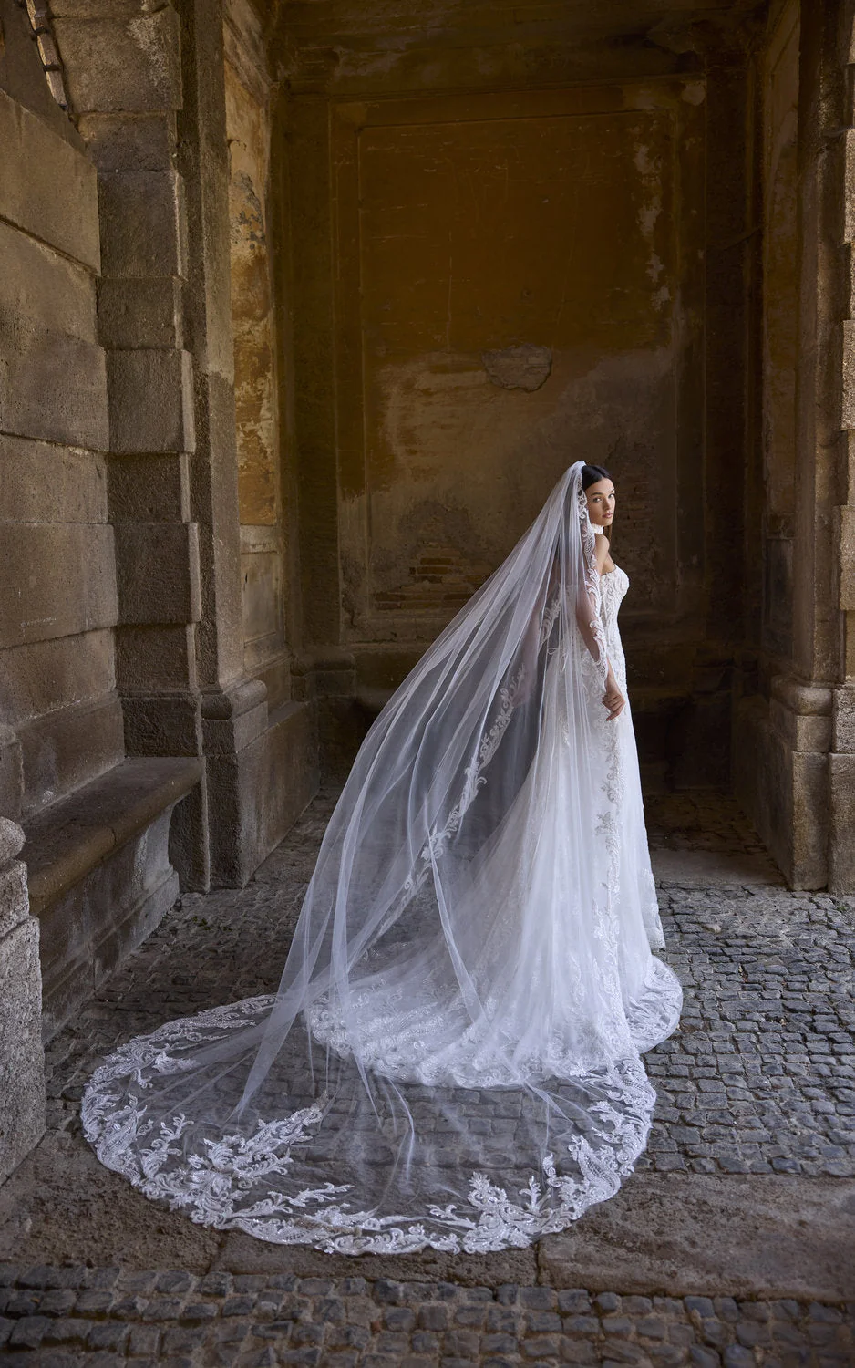 Veil - 10309 - Image 2