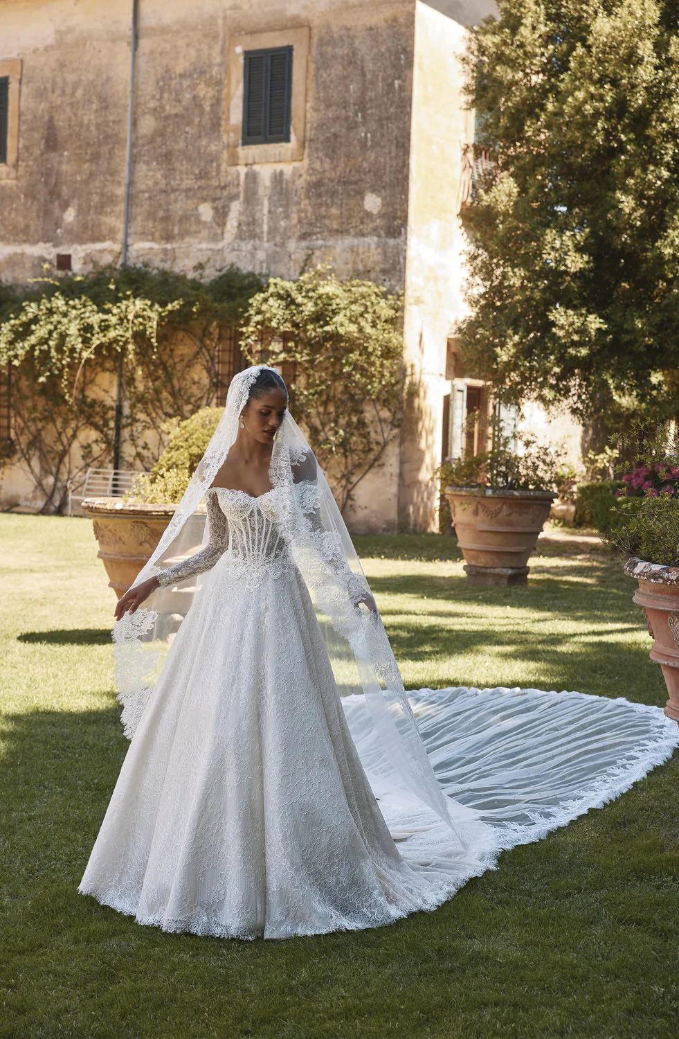 Veil - 10314 - Image 2