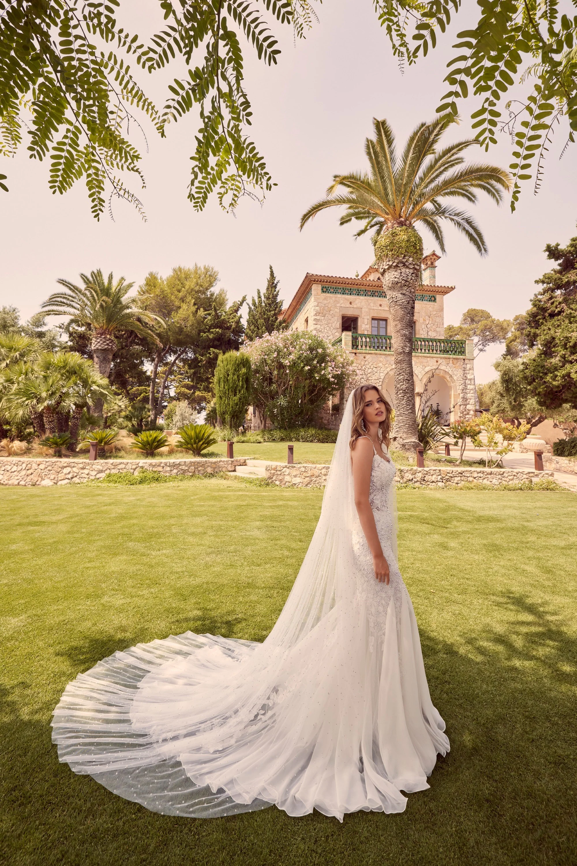 Veil - 69934 - Image 5