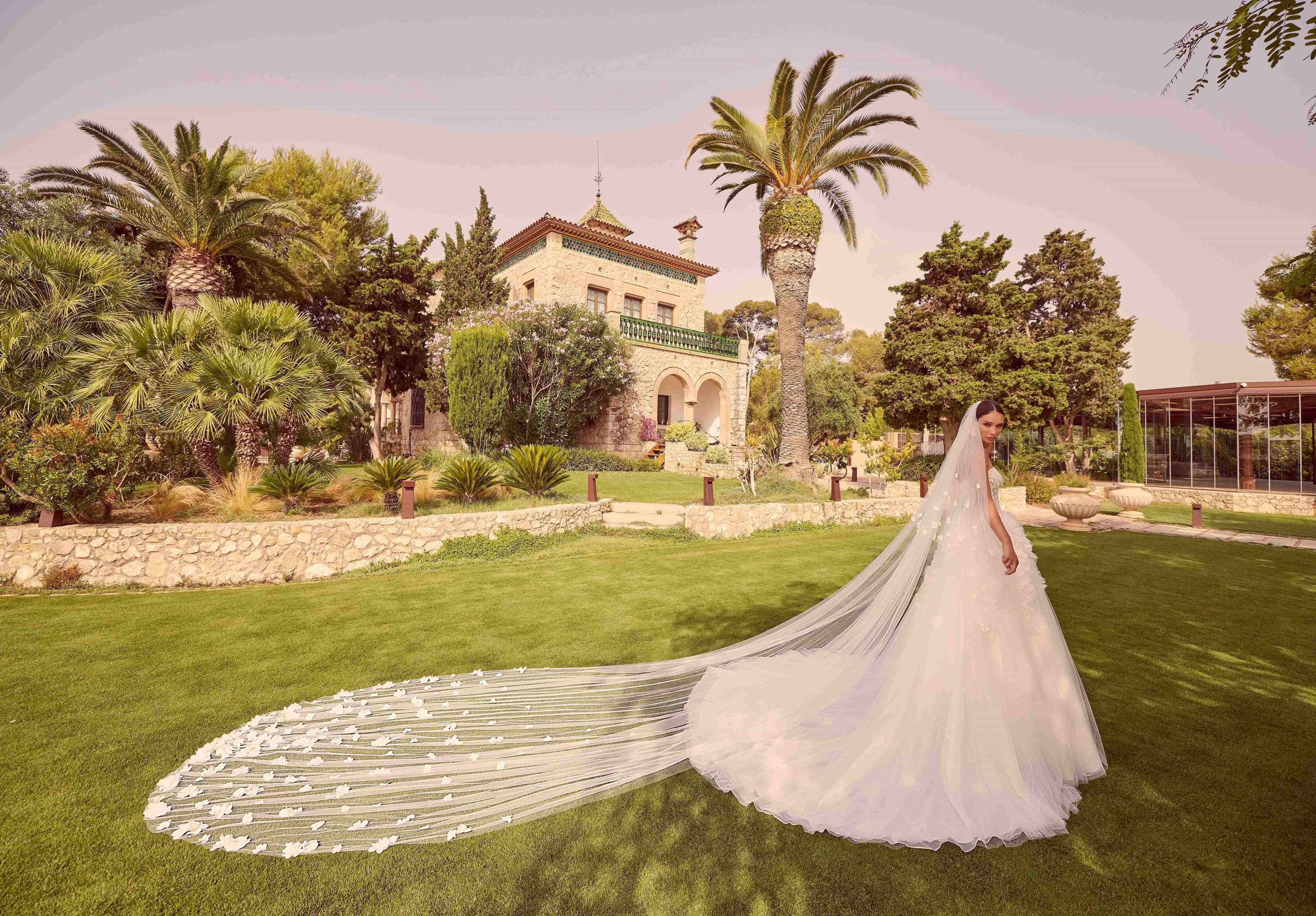 Veil - 69938 - Image 3