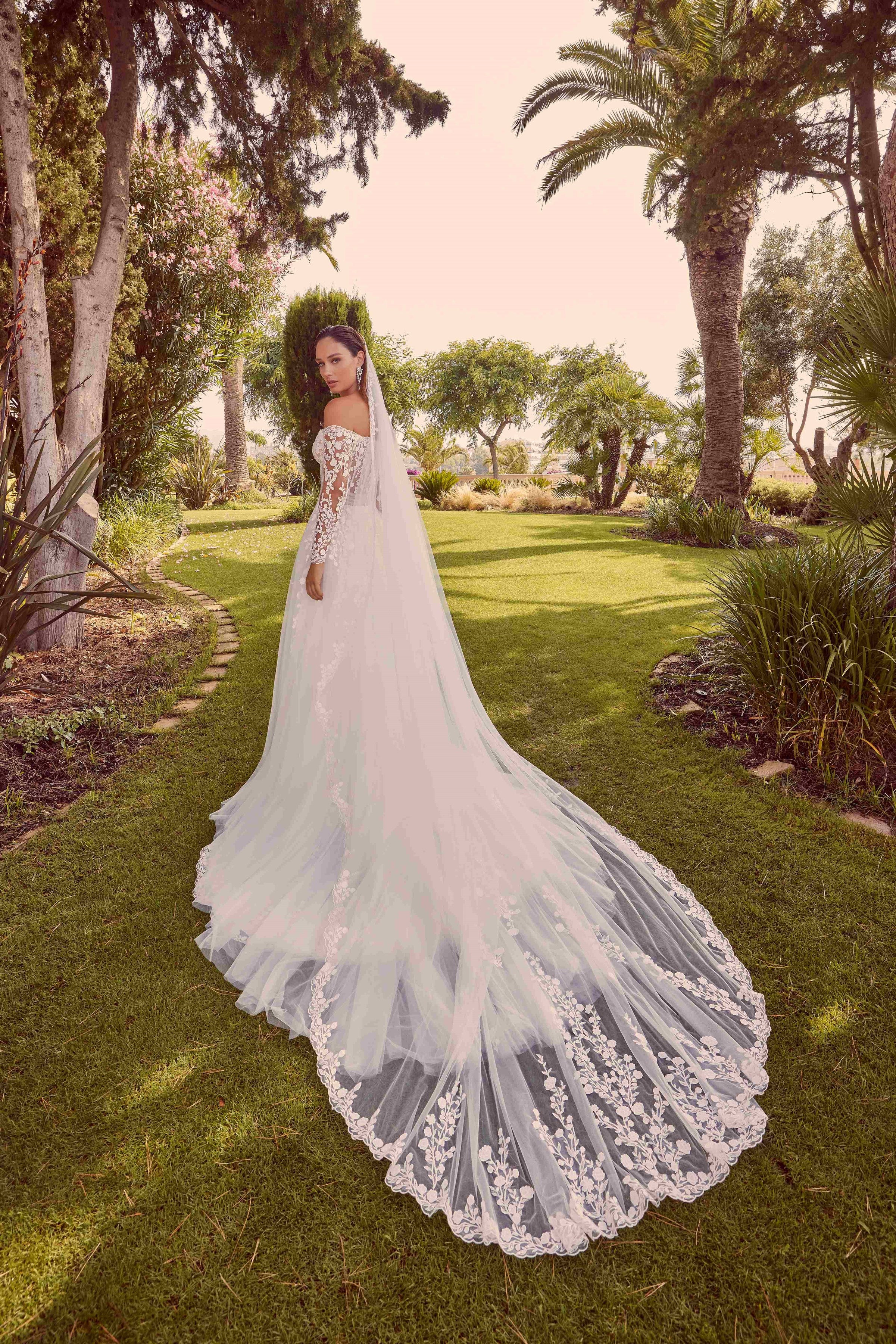 Veil - 69944 - Image 2